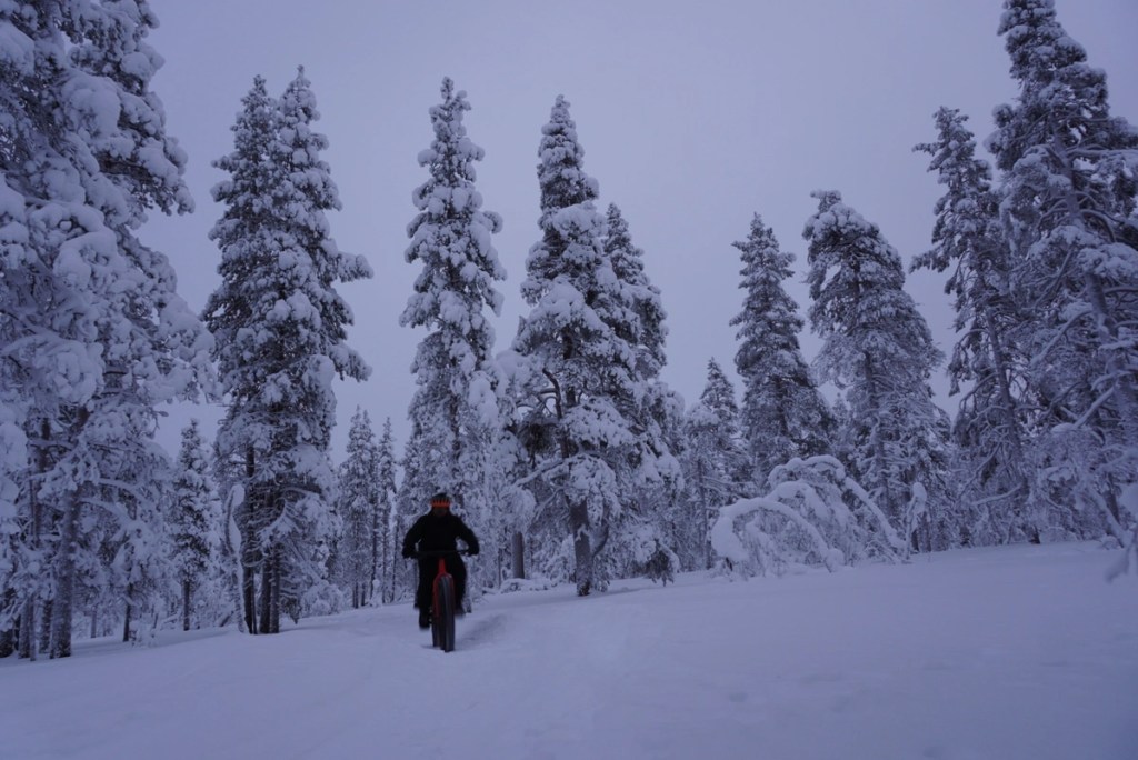 Fatbiking through the snow covered forests.