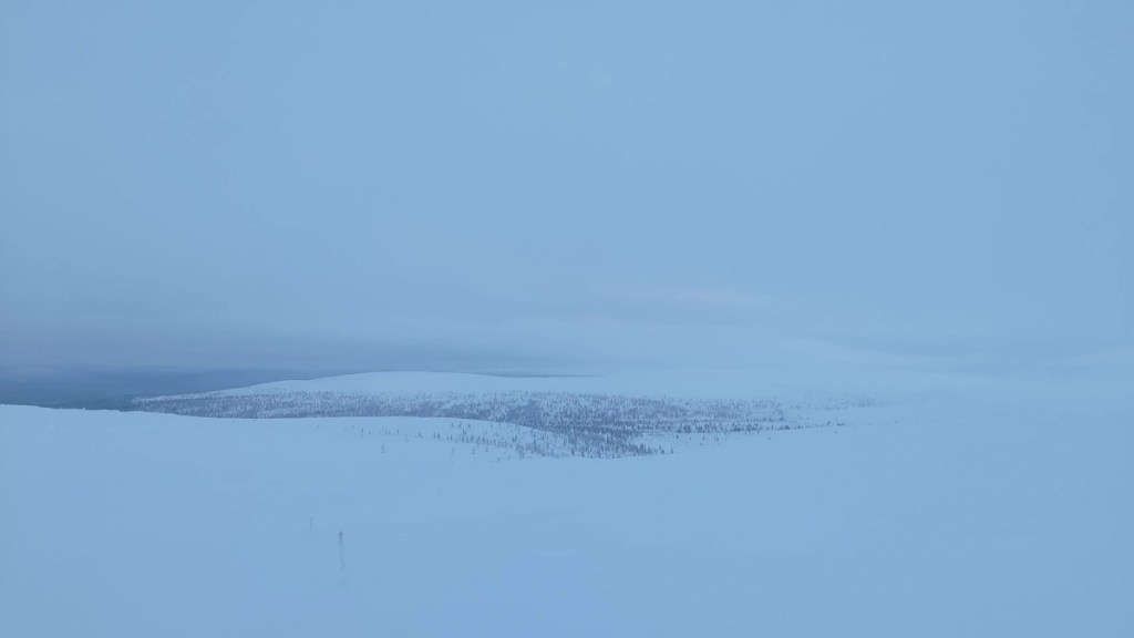 View along the Kiirunapolku Circle Trail.