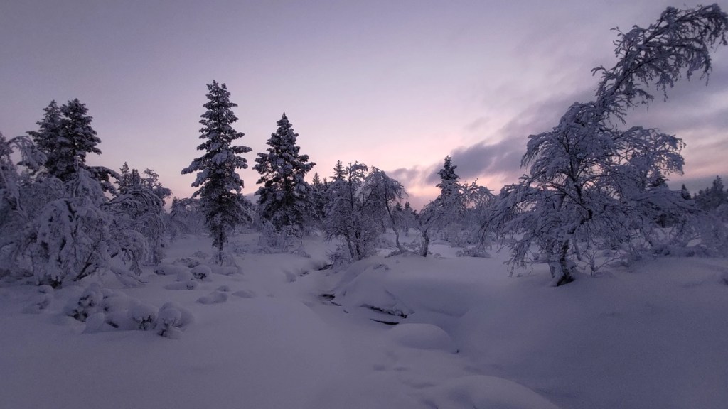 Back into the forest.